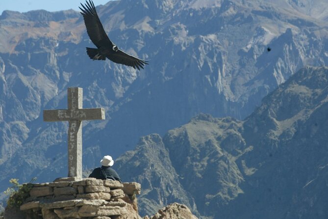 Full Day Colca Canyon With Entrances From Arequipa - About PVTravels Tour Operator