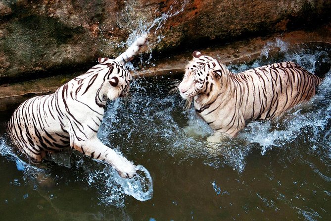 Full-Day Colombo City Tour (Private Car) - Activities