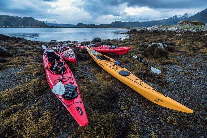 Full Day Combo Kayak and Rappel - Northern Explorer - Accessibility Information