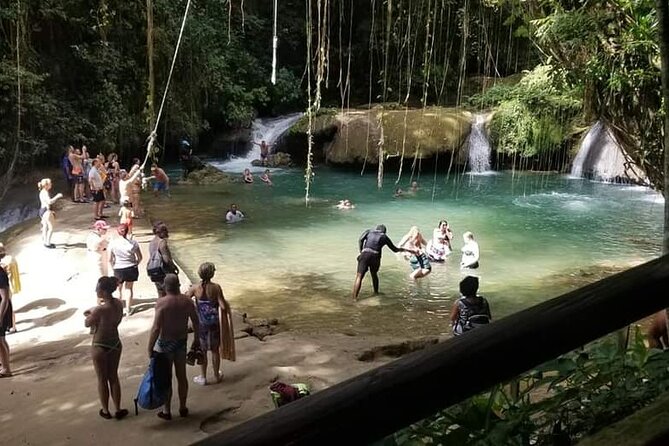 Full-Day Combo Tour With Entries to YS Falls, Black River Safari & Pelican Bar - Scenic Boat Rides