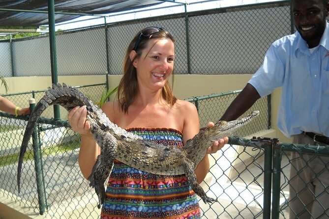 Full-Day Combo Tour With Entries to YS Falls, Black River Safari & Pelican Bar - Local Culinary Delights