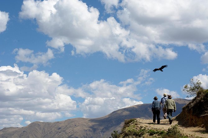 Full Day Condor Viewpoint & Inca Sites Tour - Private Service - Exploring the Condor Viewpoint
