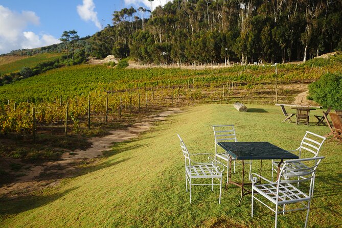 Full-Day Constantia Wine Tour From Cape Town - Day Itinerary