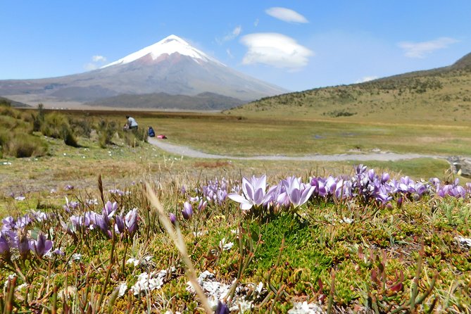 Full-day Cotopaxi - Inclusions and Exclusions