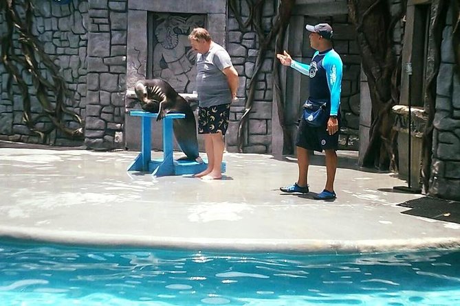 Full Day Cozumel Island Tour With Ferry, Snorkel, Virgin Beach, Buggy and Lunch - Health and Accessibility