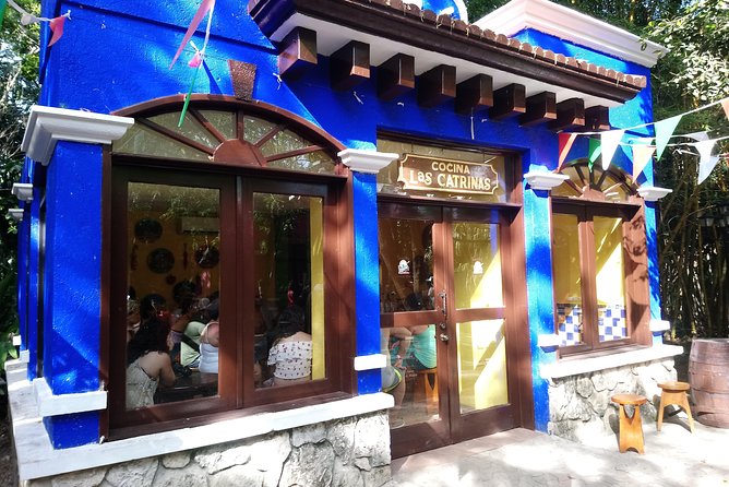 Full Day Cozumel Island Tour With Ferry, Snorkel, Virgin Beach, Buggy and Lunch - Snorkeling and Relaxation