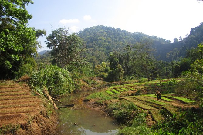 Full Day Crossing the Bolaven Plateau - Exploring the Plateau