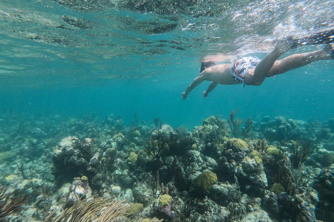Full Day Cruise From Providenciales With Snorkeling and BBQ Lunch - Overview of the Cruise