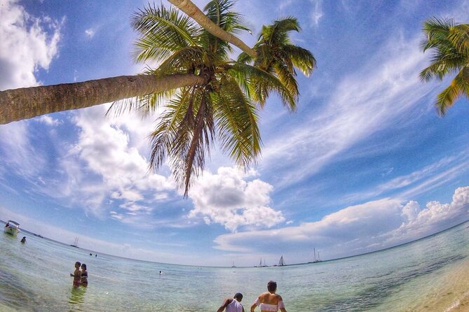 Full-Day Cruise of Isla Saona From Santo Domingo With Lunch - Pricing and Booking Details