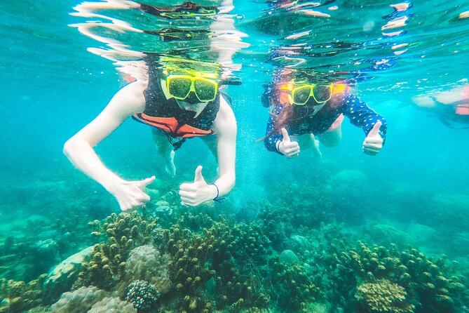 Full-Day Cruise of Koh Nang Yuan and Koh Tao From Koh Samui - Inclusions and Pricing