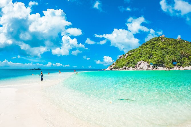 Full-Day Cruise of Koh Nang Yuan and Koh Tao From Koh Samui - Customer Feedback and Experiences