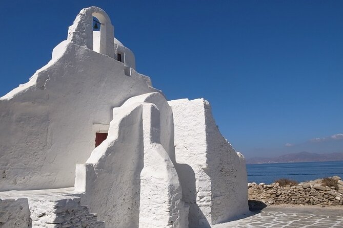 Full Day Cruise to Delos and Mykonos Islands From Paros - Operational Details and Contact Information