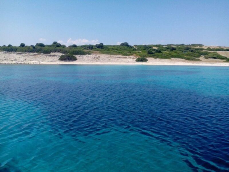 Full Day Cruise To Korakaki With BBQ From Mytilene - Onboard Activities