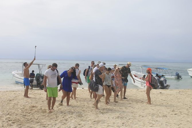 Full-Day Cruise to Saona Island - Natural Pool and Lunch - Included Activities