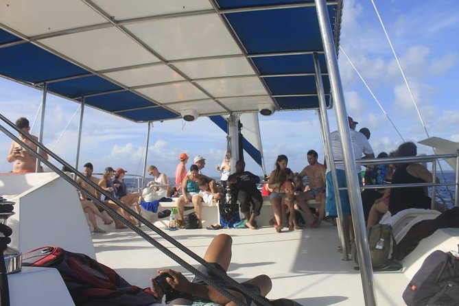 Full-Day Cruise to Saona Island - Natural Pool and Lunch - Shared Vs. Private Tour