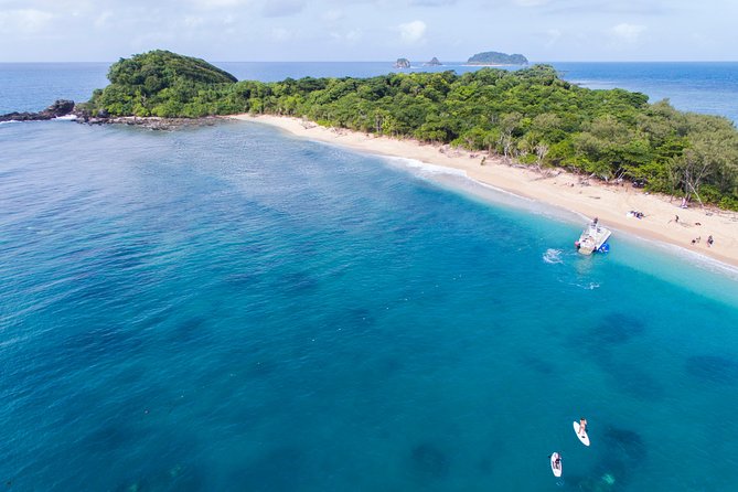 Full-Day Cruise Tour to Frankland Islands Great Barrier Reef - Tropical Buffet Lunch