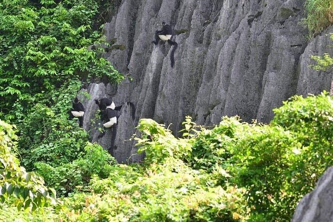 Full-Day Cuc Phuong National Park Hiking Tour - Hiking Trail Highlights