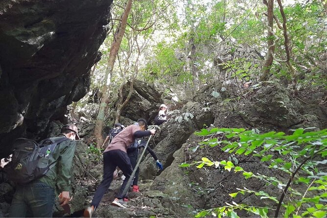 Full-Day Cuc Phuong National Park Hiking Tour - Transportation and Pickup Details