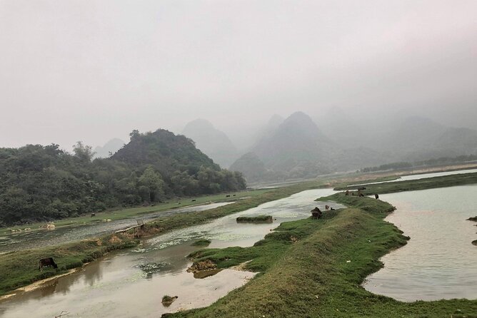 Full-Day Cuc Phuong National Park Hiking Tour - Tour Accessibility and Fitness Requirements