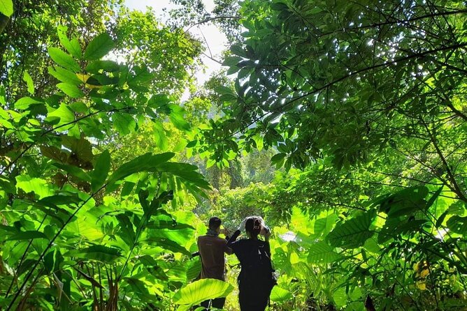 Full-Day Cuc Phuong National Park Hiking Tour - Group Size and Composition