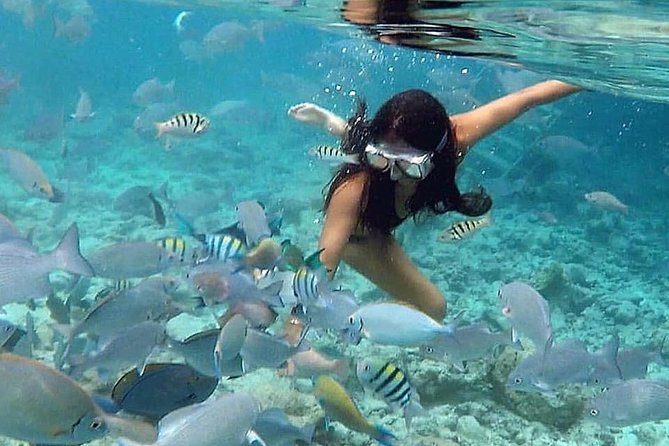 Full-Day Culebra and Flamenco Beach Snorkel Tour From San Juan - Inclusions and Amenities