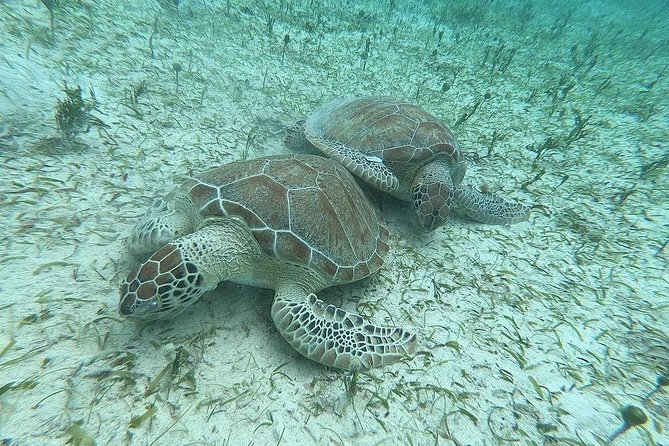 Full-Day Culebra and Flamenco Beach Snorkel Tour From San Juan - Potential Cancellation and Refunds
