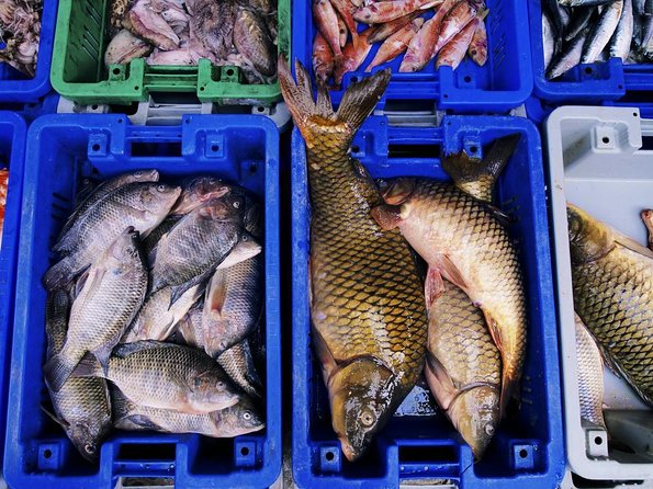 Full-Day Culinary Tour of Seoul Including Noryangjin Fish Market and Korean BBQ Dinner - Good To Know