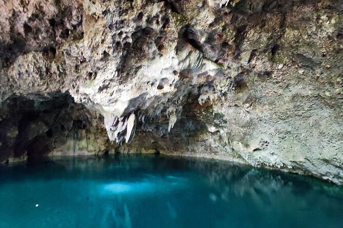 Full-Day Cultural Adventure Tour of Santo Domingo From Las Terrenas - Booking Your Stay