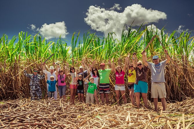 Full Day Cultural Tour From Punta Cana - Participant Details