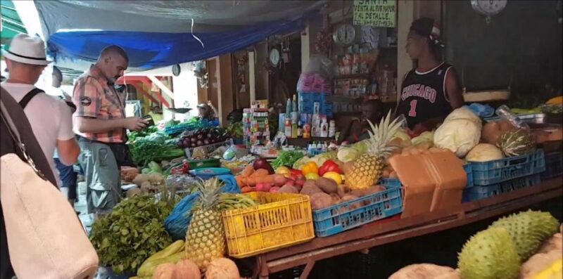 Full Day Cultural Tour in Dominican Republic - Cultural and Historical Highlights