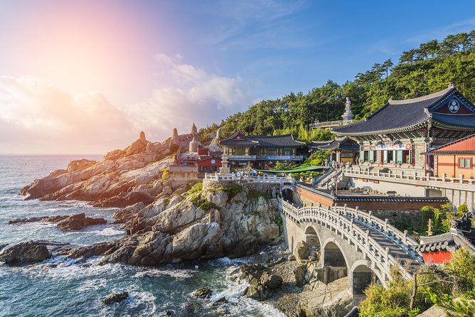 Full-Day Customizable Private Busan Highlight Tour - What to Expect