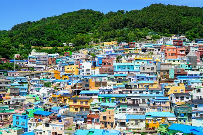 Full-Day Customizable Private Busan Highlight Tour - Customizable Tour Highlights