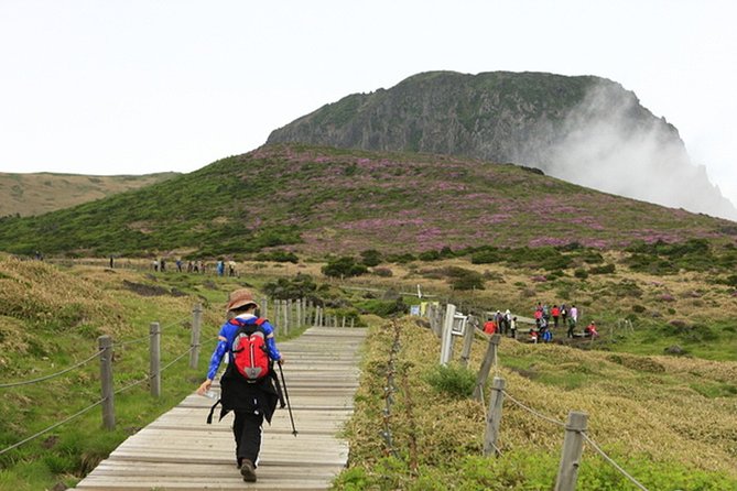 Full-Day Customizable Private Essential Jeju Island Tour for South Course - Jeongbang Waterfall Visit