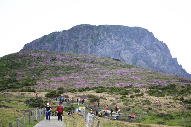 Full-Day Customizable Private Essential Jeju Island Tour for South Course - Daepo Haean Jusangjeolli Cliff