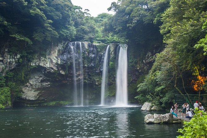 Full-Day Customizable Private Essential Jeju Island Tour for South Course - Alive Museum Experience