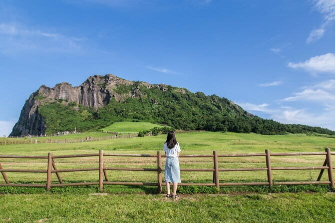 Full-day Customizable Private Jeju Island Tour - A Full-Day Private Tour of Jeju Island: What’s on Offer