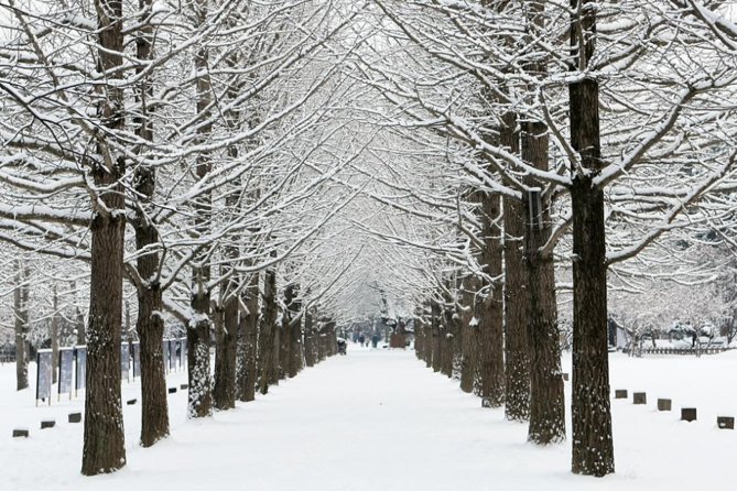 Full-Day Customizable Private Tour to Nami Island and Surrounding Area - Booking Information