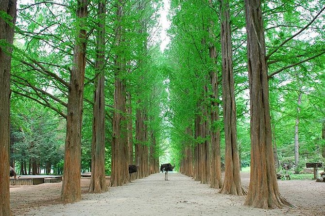 Full-Day Customizable Private Tour to Nami Island and Surrounding Area - Group Pricing