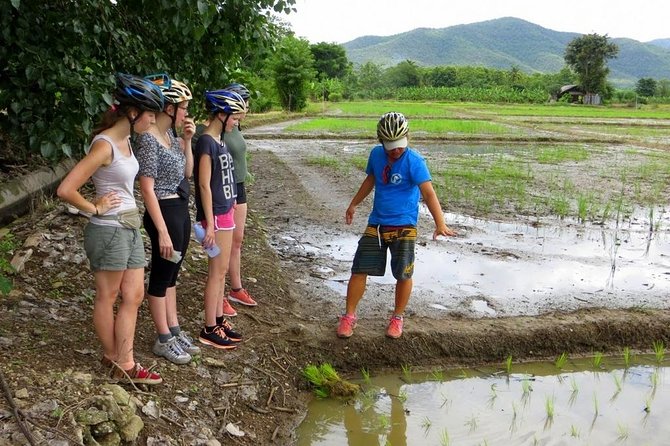Full-Day Cycle and Kayak Trip in Sri Lanna National Park - Inclusions