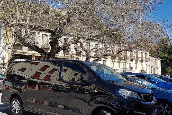 Full Day Delphi Private Tour - Customer Experience