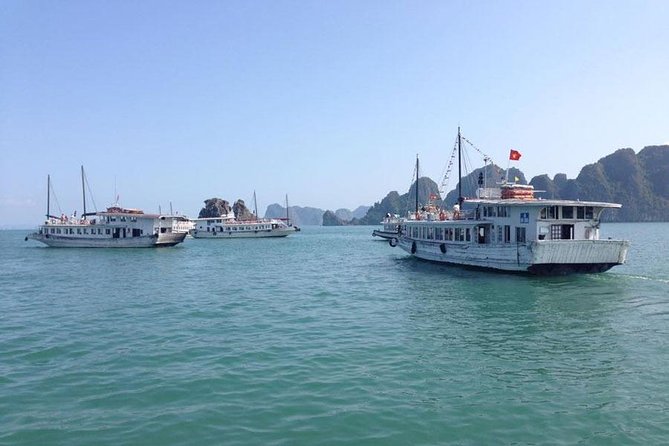 Full-Day Discover Amazing Halong, Explore Stunning Caves on Kayak/Bamboo Boat - Participant Considerations