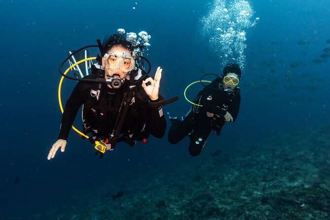Full-Day Discover Scuba Diving Tour for Beginners in Tulamben - Inclusions