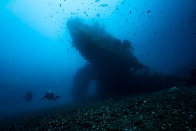 Full-Day Discover Scuba Diving Tour for Beginners in Tulamben - Traveler Reviews