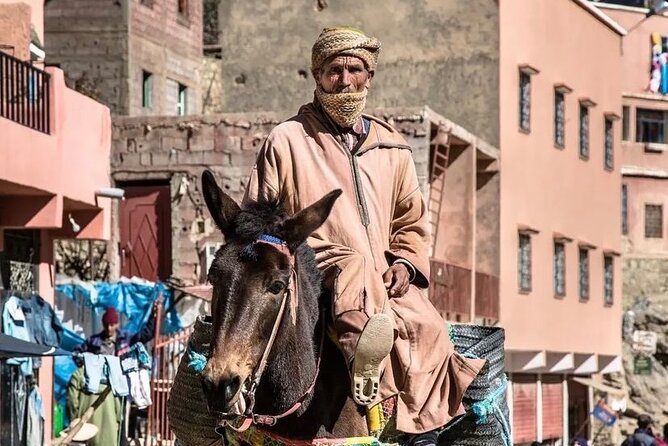 Full Day Discovery of Ouzoud Waterfalls From Marrakech - Accessibility and Participation