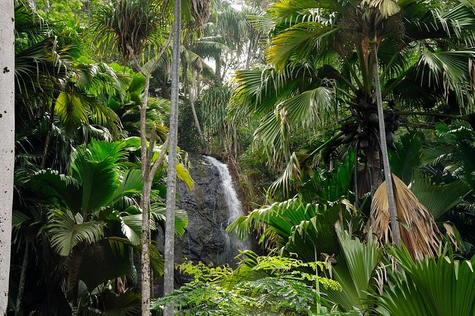 Full Day Discovery Tour of Vallee De Mai and Anse Lazio on Praslin Island - Exploring Vallee De Mai