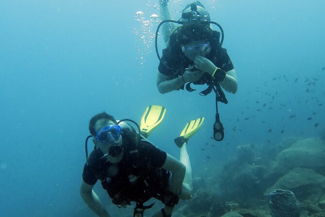 Full Day Diving Activity in Thailand With Lunch - Traveler Ratings and Reviews
