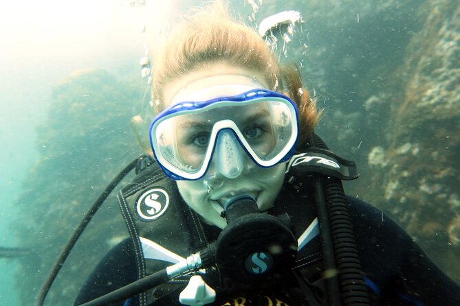Full Day Diving Activity in Thailand With Lunch - Exploring the Underwater World