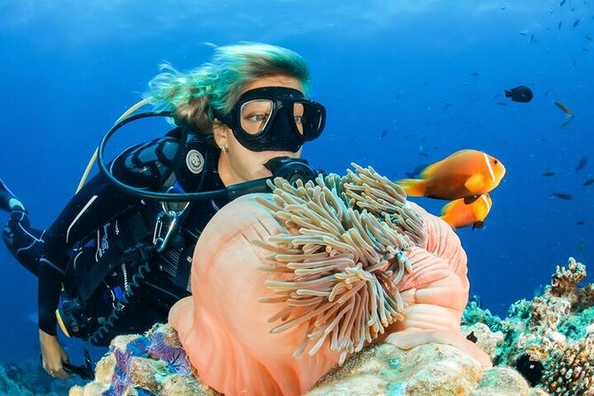 Full Day Diving for Beginners With Lunch in Hurghada - Underwater Wonders to Explore