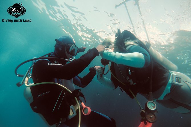 Full Day Diving With Private Guide, Lunch Drinks Transportation - Key Points
