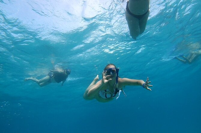 Full-day Dolphin House And Swim With Dolphin - Group Size and Start Time